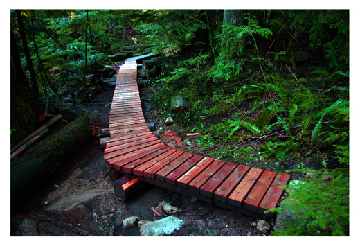 Lower Griffen Trail Improvements