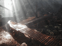 CBC – World Famous