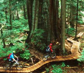 Want input on Seymour Trails? Submit this online survey by June 15th!