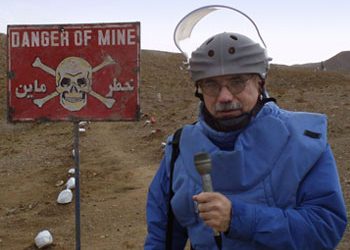 Vandalism: Lower Skull