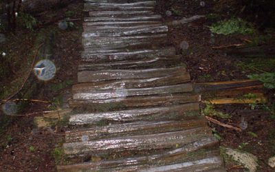 Boogieman Trail Day #4 – Steed Cycles – Final Day!!!