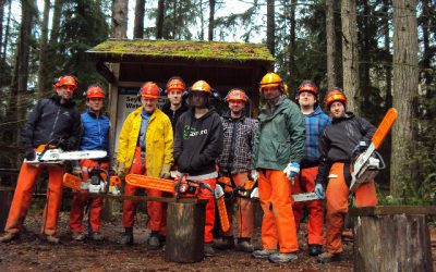 Chainsaw Training