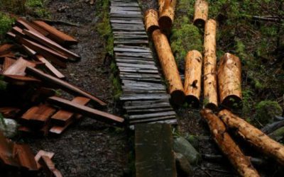 Norco Teams Up With The NSMBA