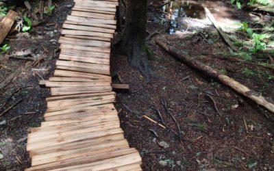 CBC Open for the Season