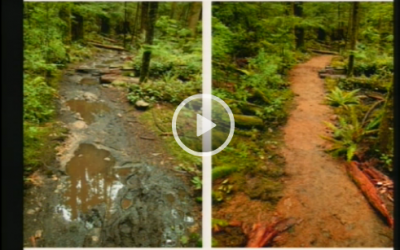 Video: Presentation to DNV Council Oct 20 2014