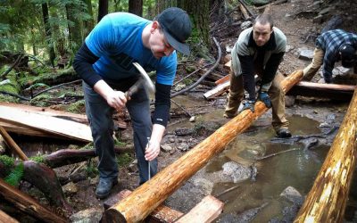 How to help a Trail Builder