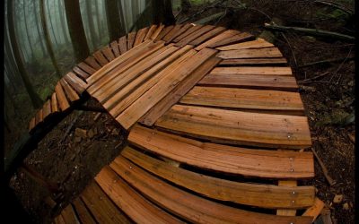 June & July Trail Update