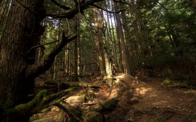 A Stroll along Jerry Rig