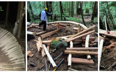 Fall Trail Report – November