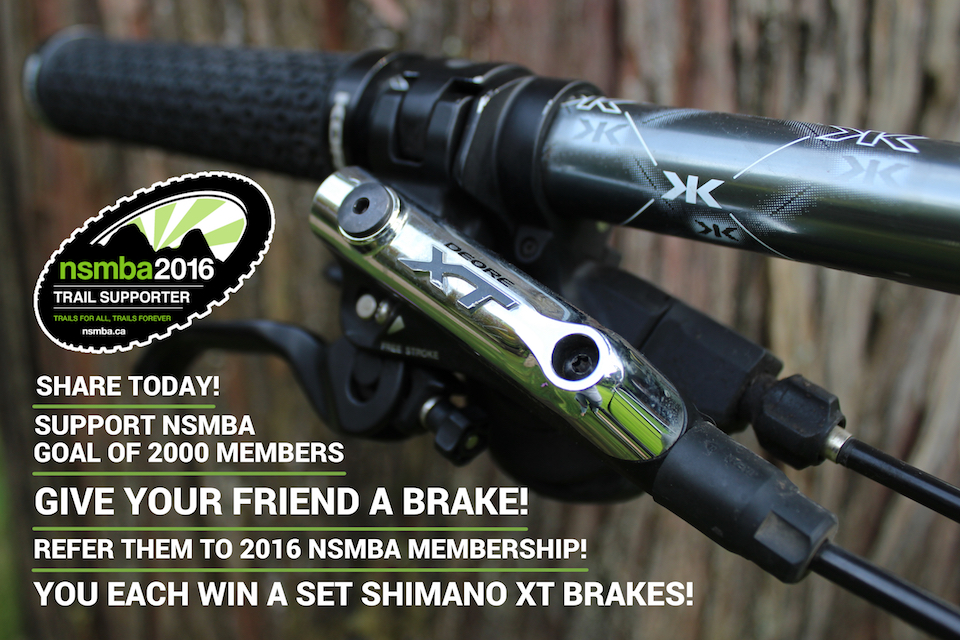 Give your Friend a Brake!