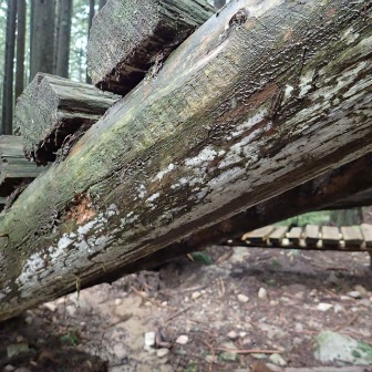 Corkscrew Update | North Shore Mountain Bike Association