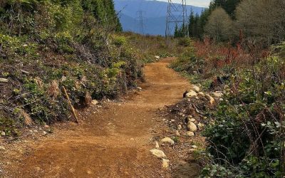 May Trail Update
