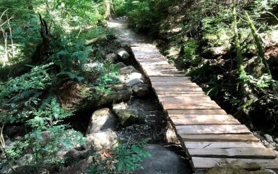 August Trail Update
