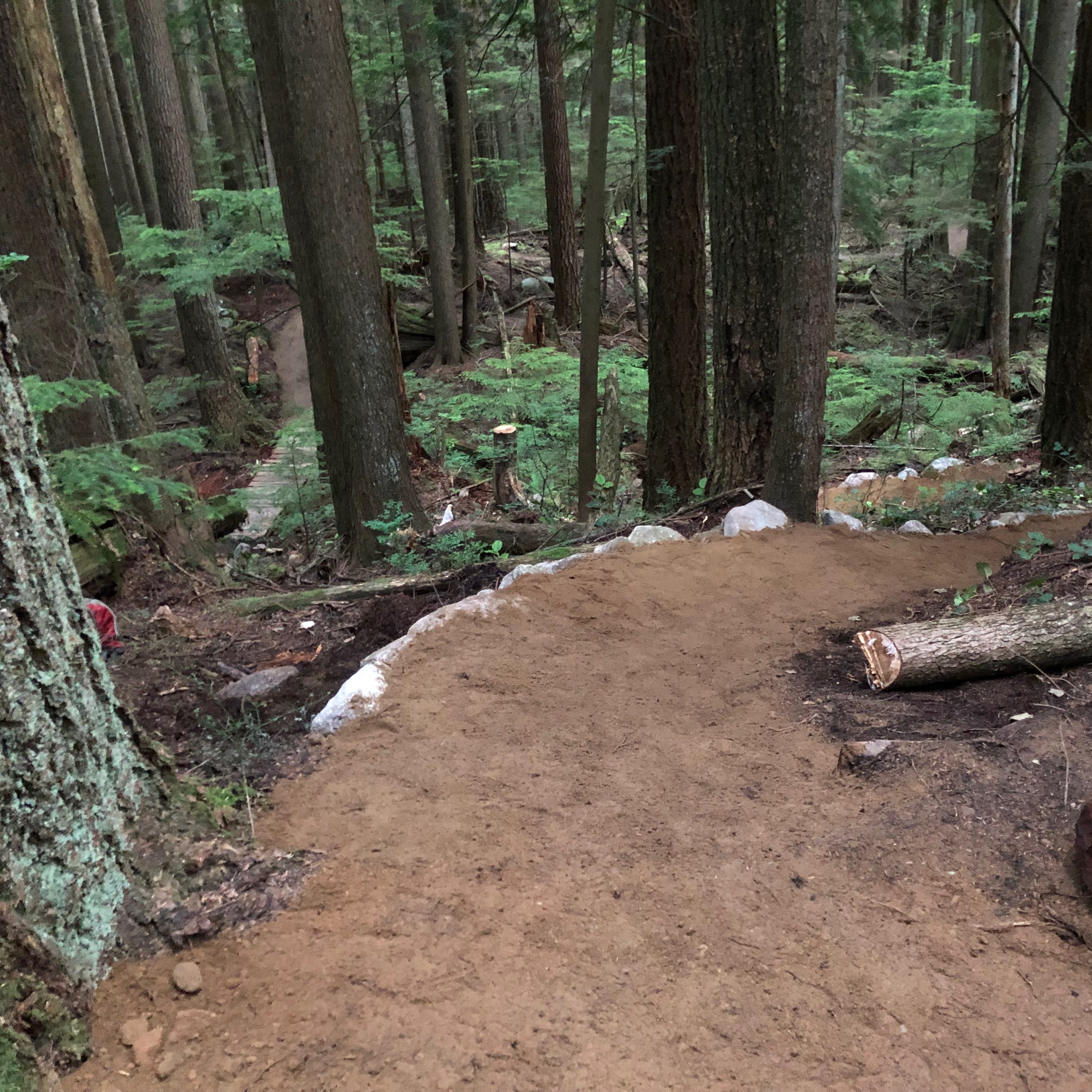 A freshly built section of trail with an inviting berm