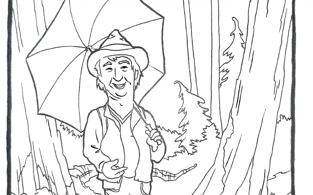 North Shore Colouring Pages