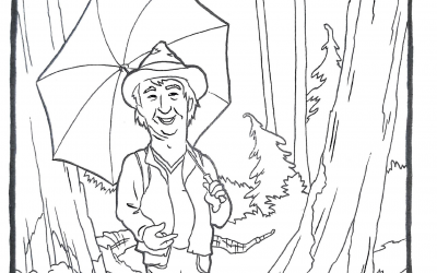 North Shore Colouring Pages