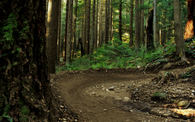 Trail Jargon of the Month: Berm