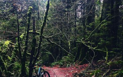 Seymour Strategic Trails Plan – Recap from the DNV Council Workshop
