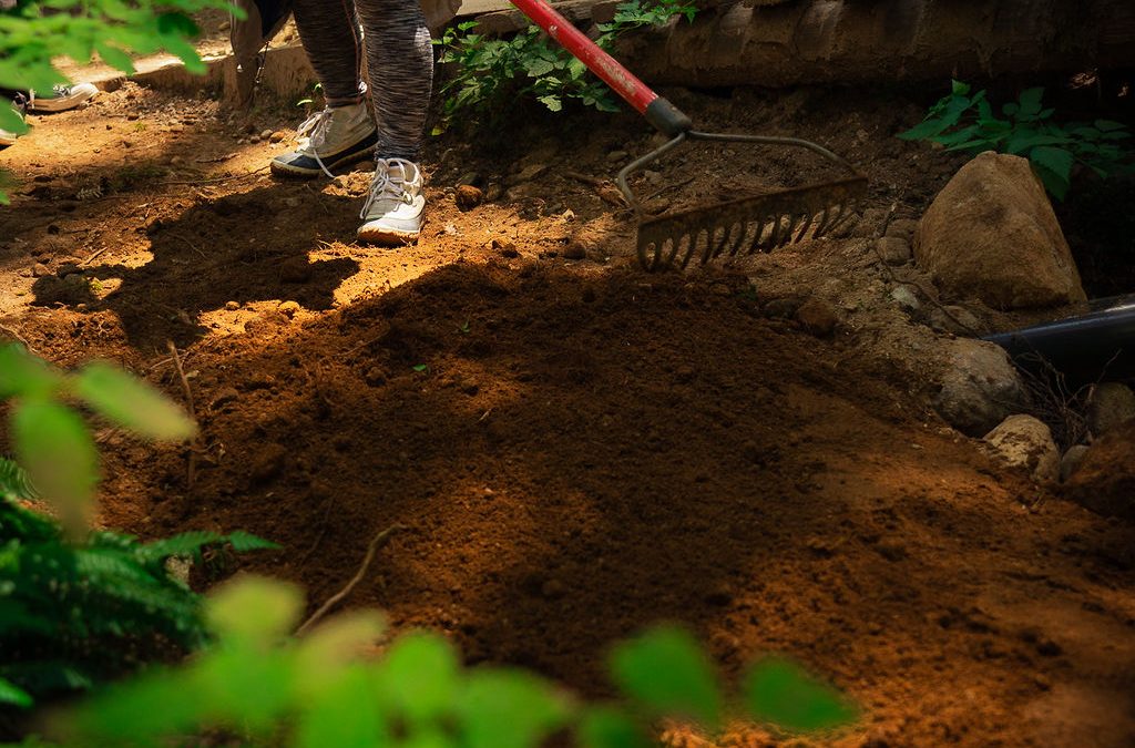 Board Update March 2026