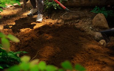 Board Update March 2026