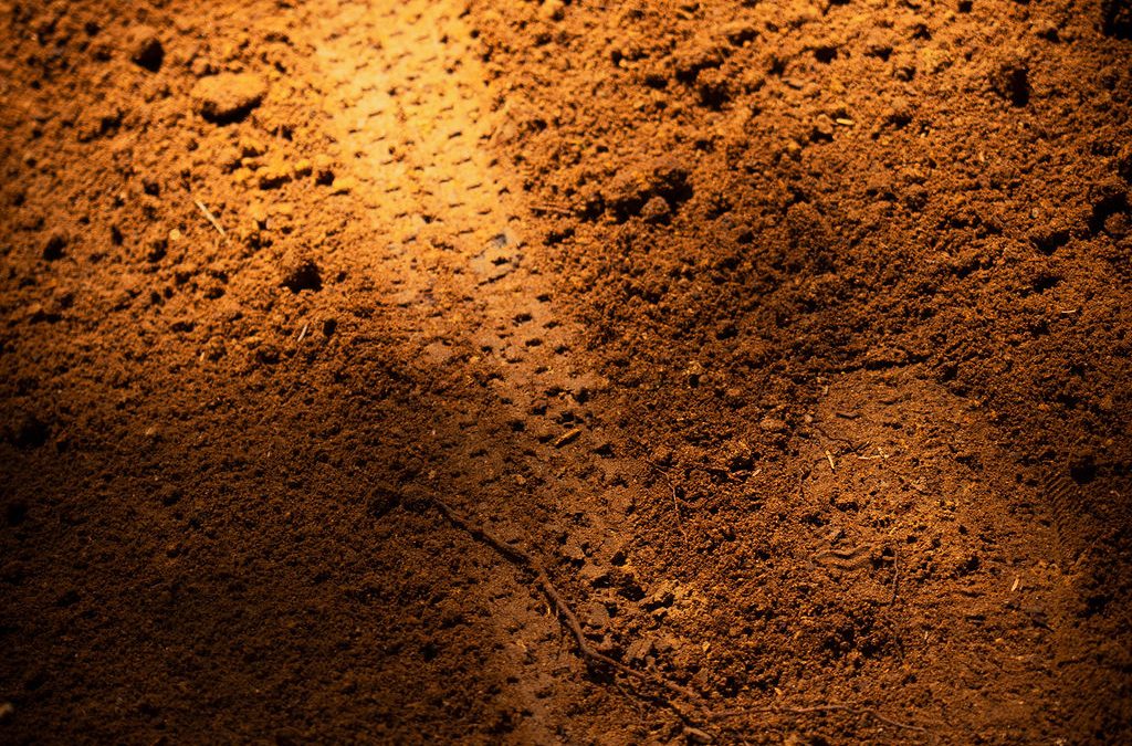 Join the Board of Directors