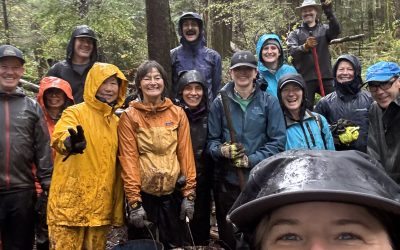 Holiday message from our ED: