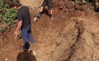 Support your local trails: