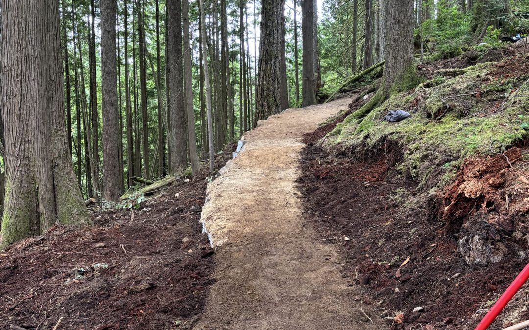 Summer 26 Trail Update