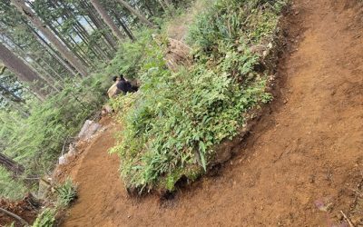 Fall 26 Trail Update