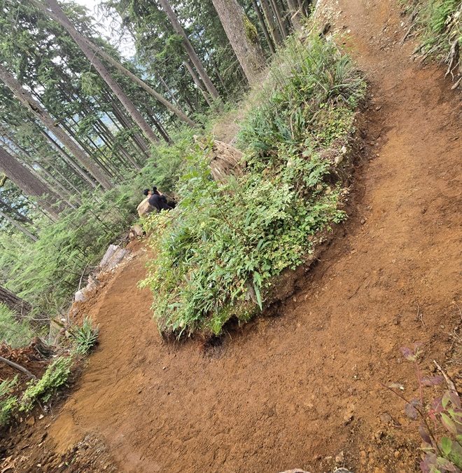 Fall 26 Trail Update