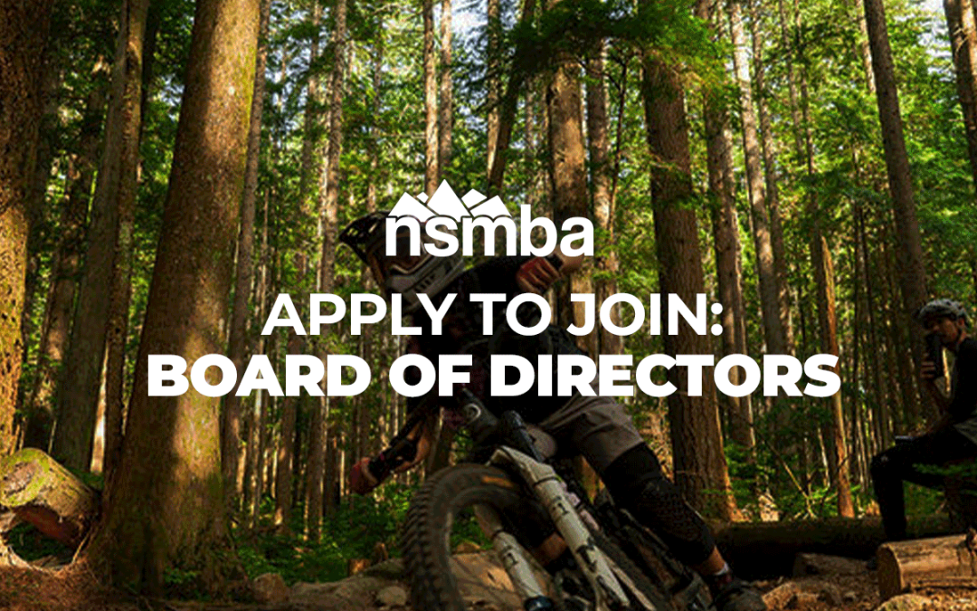 2027 Board of Directors: How to Apply and How Directors Are Selected